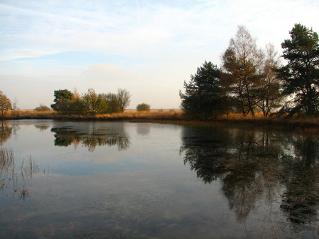 Veluwe