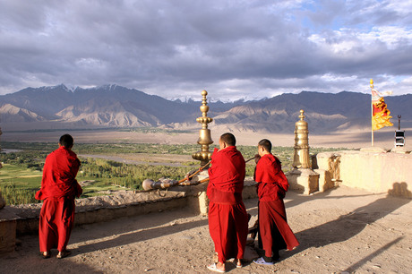 Ochtend gebed Thiksey monastary.jpg