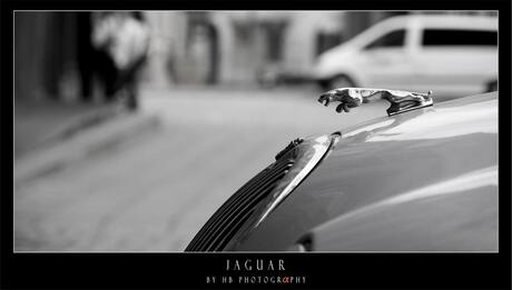 HB Jaguar