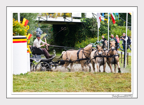 Belgische Kampioenschap mennen 2009 nr.3