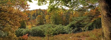 Kroondomijn_Het Loo