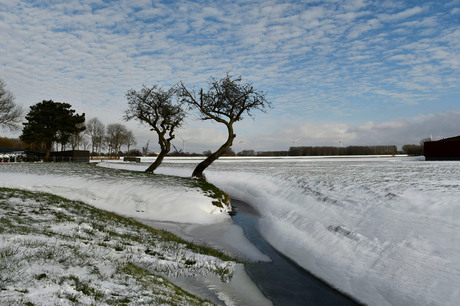 2021 winter_panorama