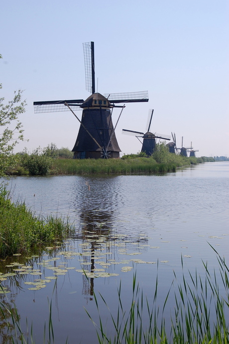 kinderdijk