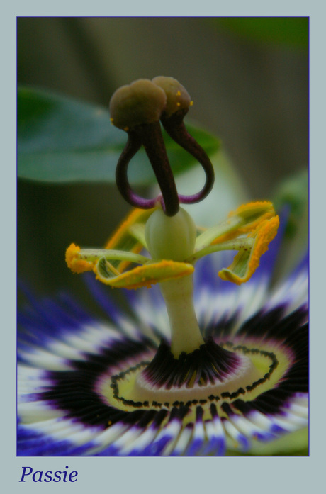 Passie....