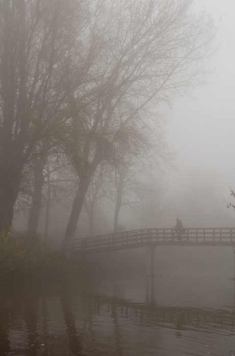 Fietser in de mist II