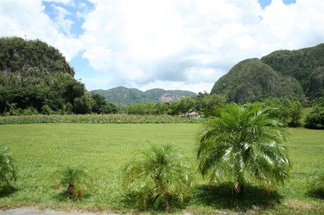 Vallei in Vinales