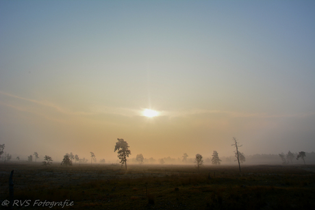 landschap tijdens mistige zonsopgang