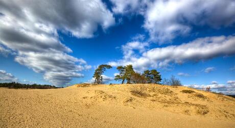 Kootwijkerzand (HDR)