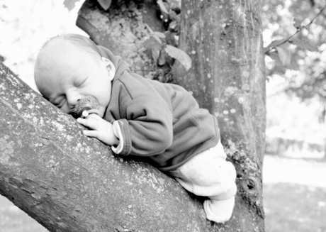 baby in a tree