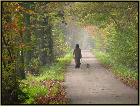 rustige wandeling