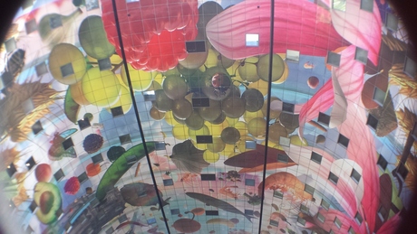 markthal rotterdam