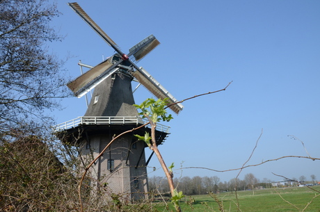 Molen