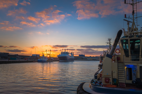 Zonsondergang Haringhaven