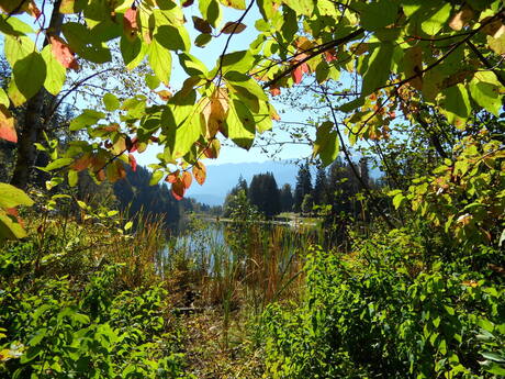 Natuur Canada