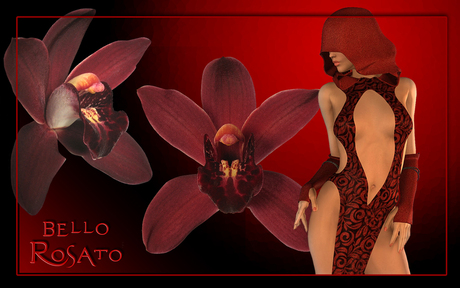 Bella Rosato