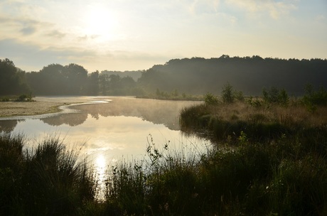 zomerdag