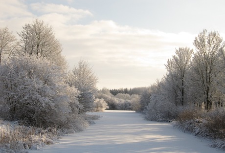 Naturpark Lelystad