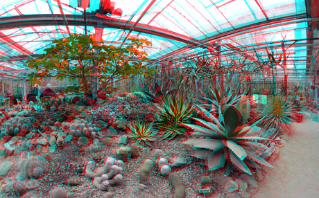 Cactus-kas Arboretum Trompenburg Rotterdam 3D