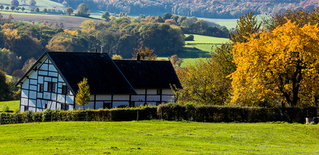 herfst Geuldal