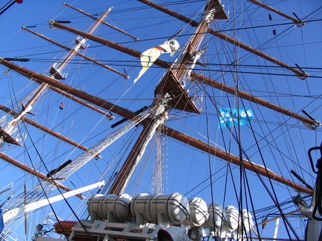 Sail 2005