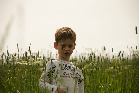 Portret in bloemenweide