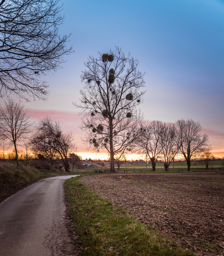 winterochtend