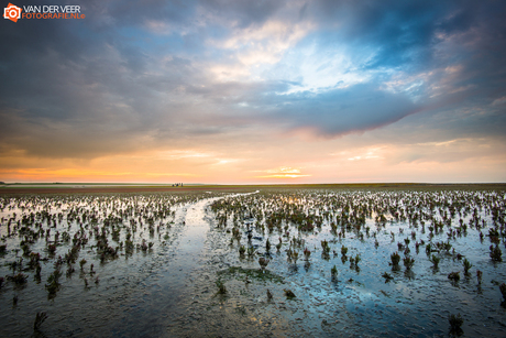 Waddenzee