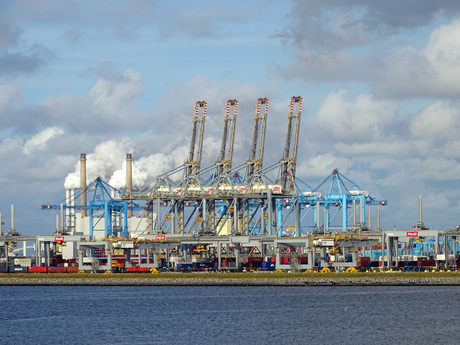 industrie maasvlakte