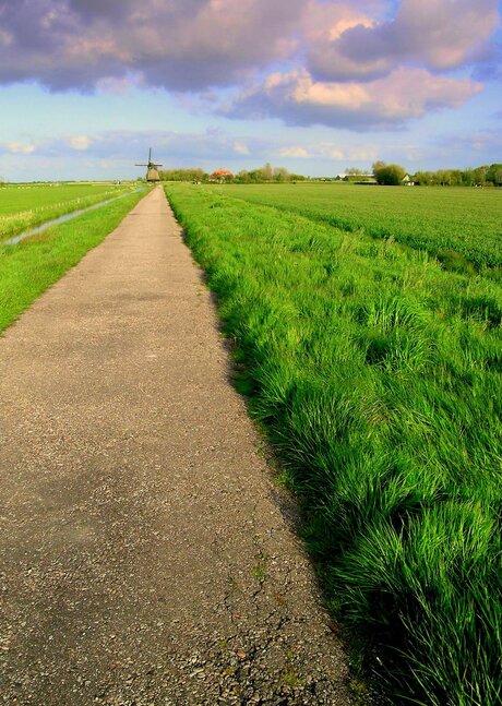 In de polder