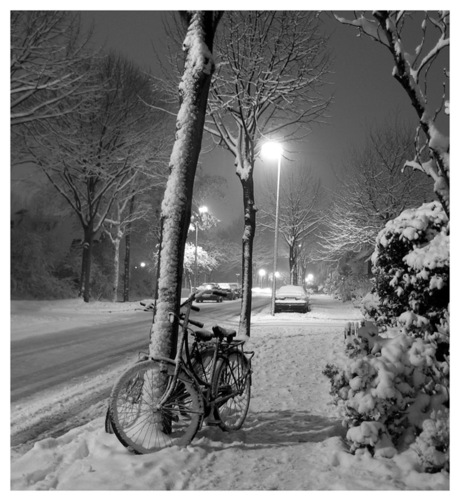 Bicycles in the evening snow