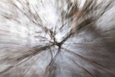 winter tree by the water