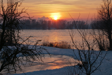 winter 2012.jpg