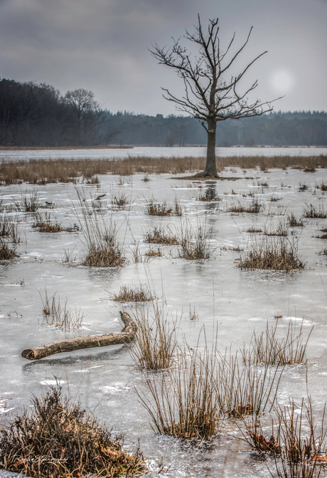 Winter sighs