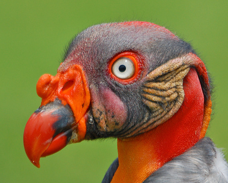 Nog wat dichterbij...