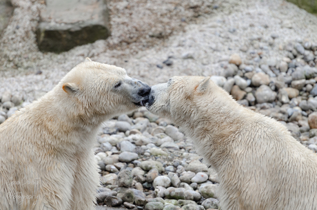 French kiss