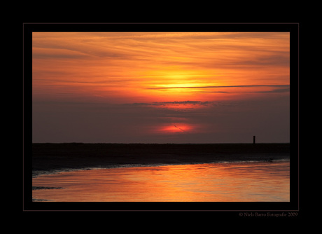 Ameland 14