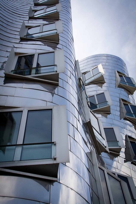 Frank Gehry