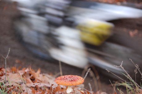 motocross uit een andere hoek