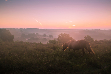 Beauty of the early morning sunrise