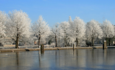 Winter 2009 - 3