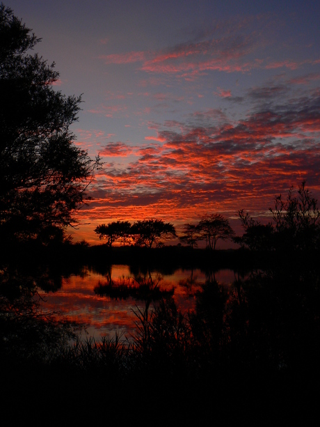 visstek in avond rood