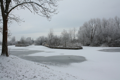 Winters plaatje.