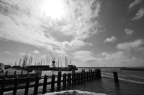 Harlingen Haven