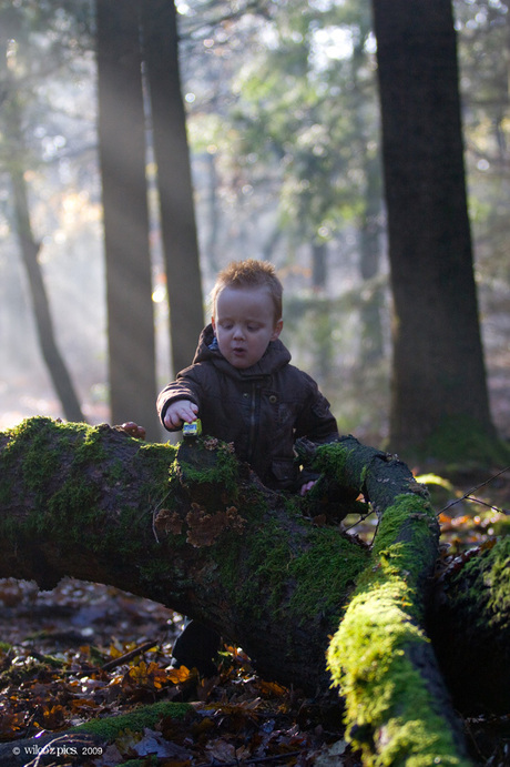 Spelen in het bos