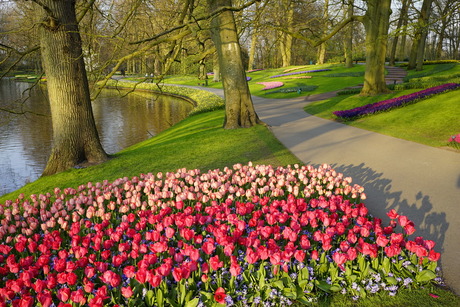 Keukenhof