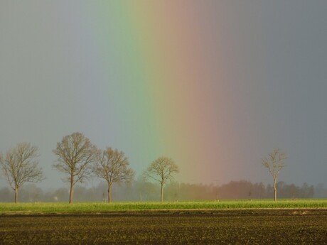 Ingezoomd op de regenboog