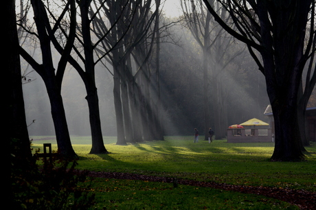 Amsterdamse Bos