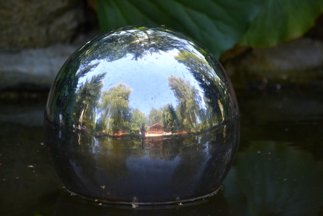 drijvende bal in vijver