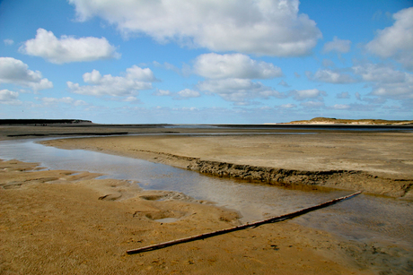 Texel