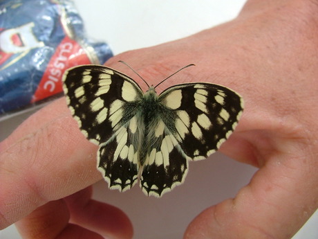 Oproep om te bewerken